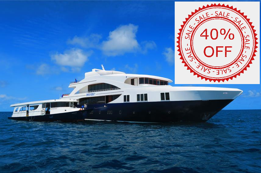 Best 40% Liveaboard Deals - Diving on a Budget