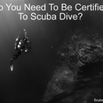 Do you need to be certified to scuba dive smaller