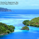 Raja Ampat Diving For Beginners but Can Novices Dive Raja Ampat or Not small