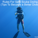 Rules For Safe Scuba Diving to Become a Better Diver small