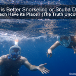 Which is Better Snorkelling or Scuba Diving small